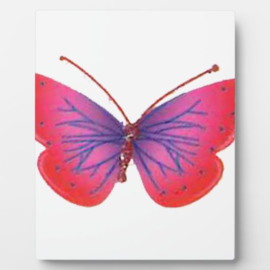 いつだって永遠に若くありたい フォトプラーク (正面)