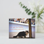 いつも鳩感じに猫を見てもらう ポストカード (スタンド正面)