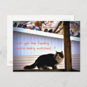 いつも鳩感じに猫を見てもらう ポストカード (正面/裏面)