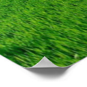 いつピッグズフライプリント ポスター (角)