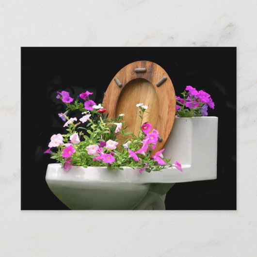 いつ与えのウンチ ポストカード (正面)