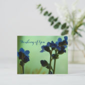 いつ感じが青… ポストカード (スタンド正面)