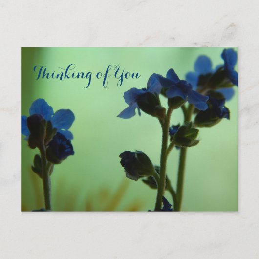 いつ感じが青… ポストカード (正面)