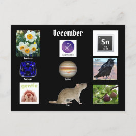 いて座  12月 誕生月 ポストカード