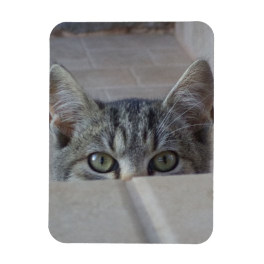 いないいないばあ子猫 マグネット (縦)