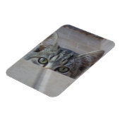 いないいないばあ子猫 マグネット (左側)