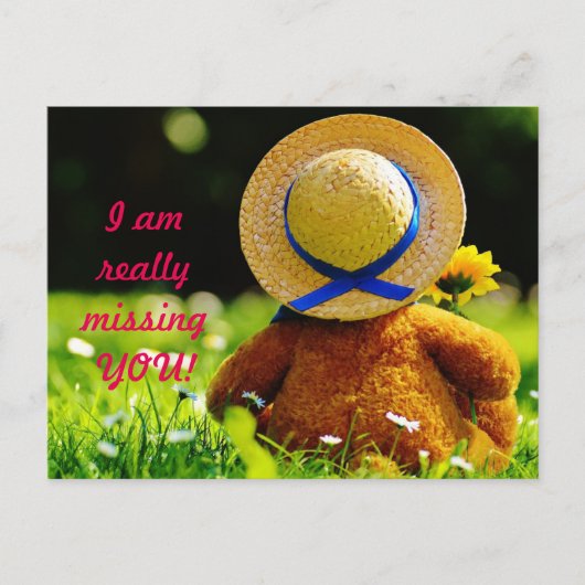 いなくて寂しいよ、ペットちゃん ポストカード (正面)