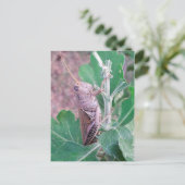 いまこそバッタだ ポストカード (スタンド正面)