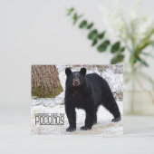 いらっしゃい！冬のペンシルバニア黒熊 ポストカード (スタンド正面)