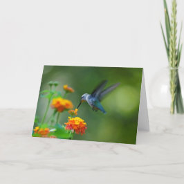 いらっしゃい！夏のハマーから！ カード