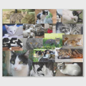 いろいろな猫の写真 ラッピングペーパー (フラット)