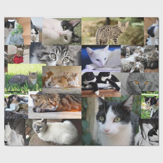 いろいろな猫の写真 ラッピングペーパー (シーム)