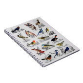 いろいろな鳥たち ノートブック (右側)