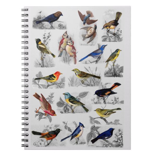 いろいろな鳥たち ノートブック (正面)