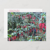 うきうきの1月！ ポストカード (正面/裏面)