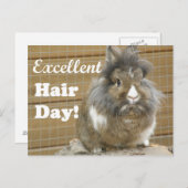 うさぎおもしろいの「素晴らしい髪の日」。 ポストカード (正面/裏面)