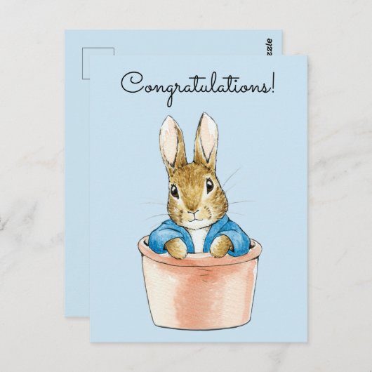 うさぎのピーターが鉢に座っている ポストカード (正面/裏面)