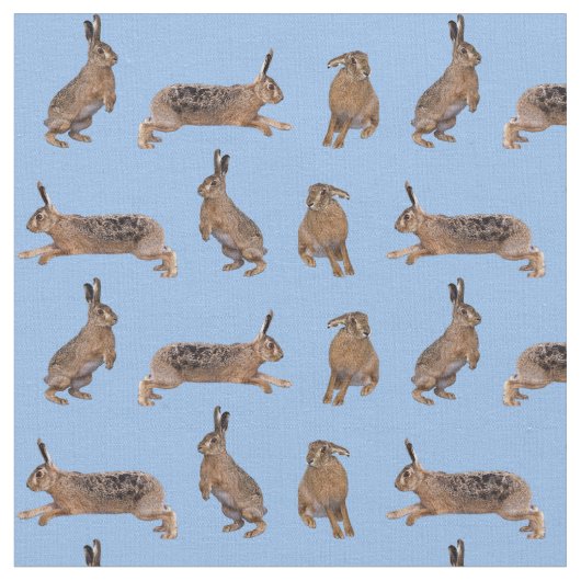 うさぎの乱舞ファブリック（淡青色） ファブリック (クローズアップ)