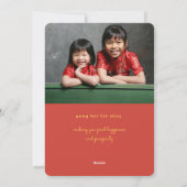 うさぎの写真のホリデーカードの月の新年 シーズンカード (裏面)