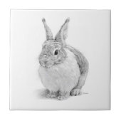 うさぎの日 タイル (正面)