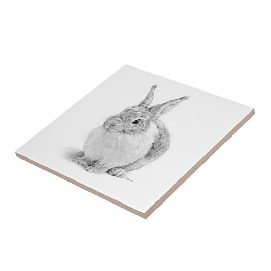 うさぎの日 タイル (側面)