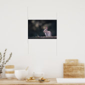 うさぎの自然写真 ポスター (キッチン)