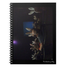 うさぎシネマノート