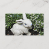 うさぎテンプレート！ 名刺 (裏面)