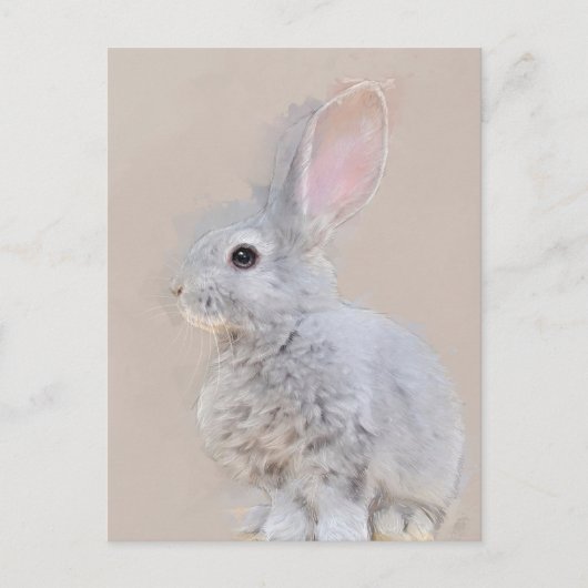 うさぎポストカードNo.31 ポストカード (正面)