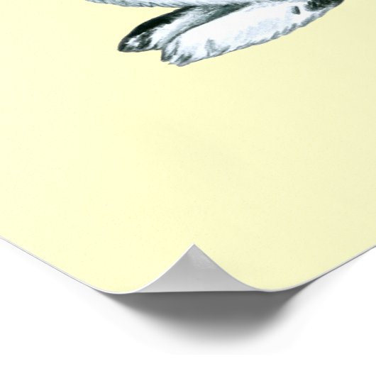 うさぎ厄年 ポスター (角)