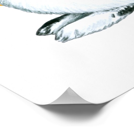 うさぎ厄年 ポスター (角)