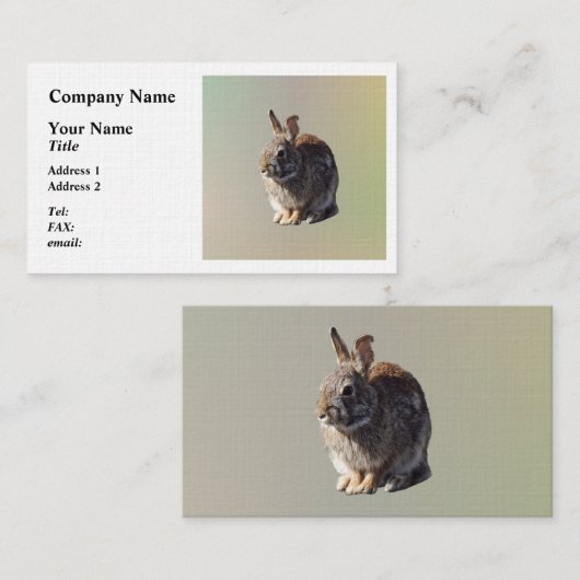 うさぎ座る 名刺 (正面/裏面)