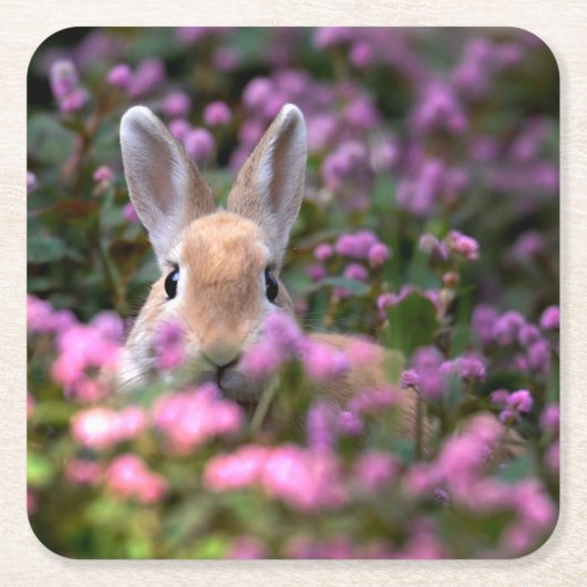 うさぎ農場 スクエアペーパーコースター (正面)