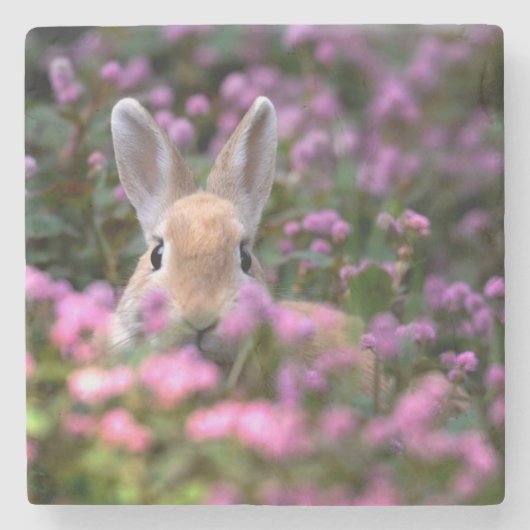 うさぎ農場 ストーンコースター (正面)