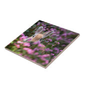 うさぎ農場 タイル (側面)