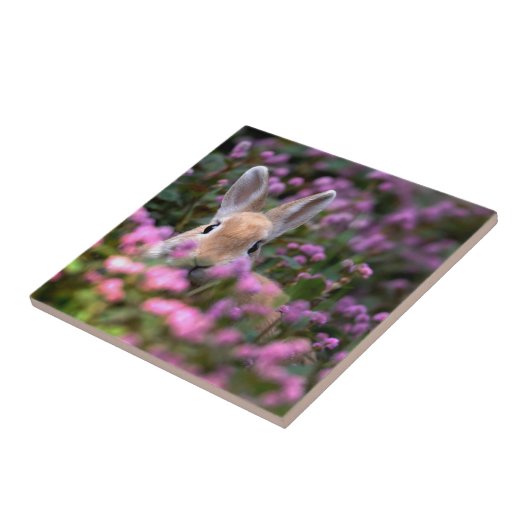 うさぎ農場 タイル (側面)