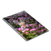 うさぎ農場 ノートブック (右側)