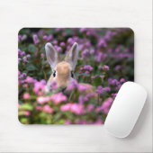 うさぎ農場 マウスパッド (マウス)