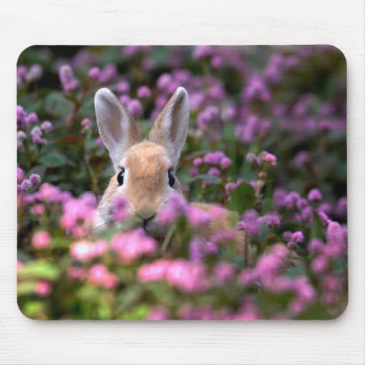 うさぎ農場 マウスパッド (正面)