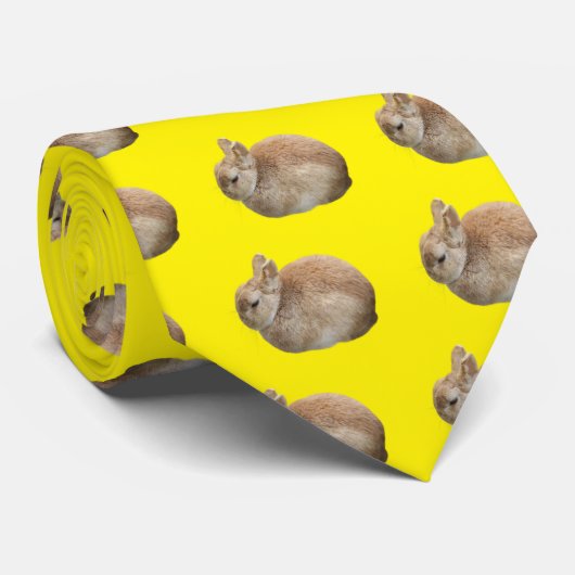 うさぎ ネクタイ (ロール)