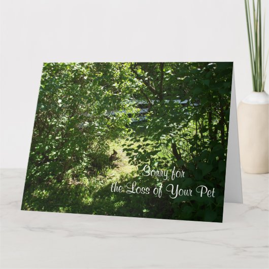 うさぎ – ペットを失うこと カード (正面)