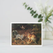 うさぎ、リスに出会う ポストカード