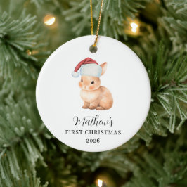 うさぎ 赤ちゃん 初めてのクリスマス セラミックオーナメント