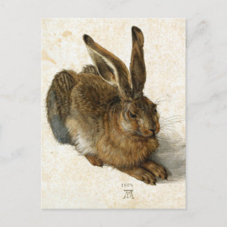 うさぎ， Hare by Durerヴィンテージ自然アート， 1502 ポストカード