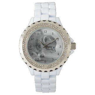 うずくまる子猫 腕時計