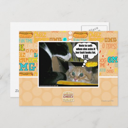 うそ ポストカード (正面/裏面)