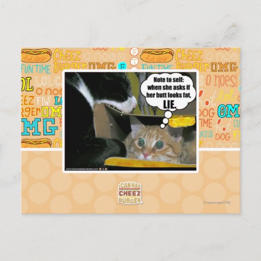 うそ ポストカード (正面)