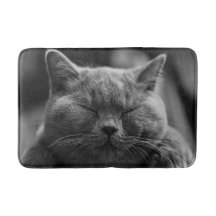 うたた寝の灰色猫の頭部の打撃