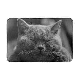 うたた寝の灰色猫の頭部の打撃 バスマット