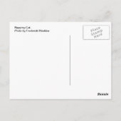 うたた寝猫 ポストカード (裏面)